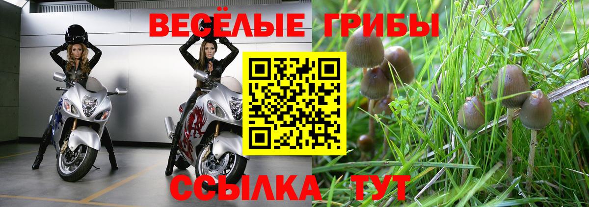 Алексеевка  Галлюциногенные грибы Psilocybine cubensis  Вход с VPN 