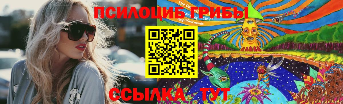 Галлюциногенные грибы MAGIC MUSHROOMS Алексеевка