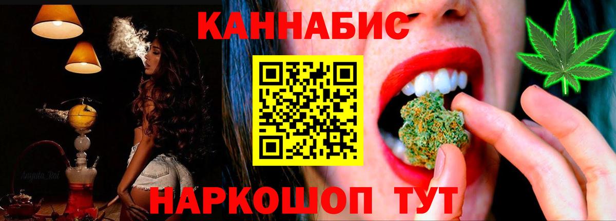 Канабис планчик Алексеевка